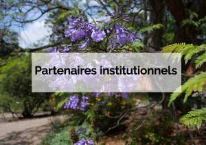 partenaires institutionnels