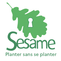 sesame.png